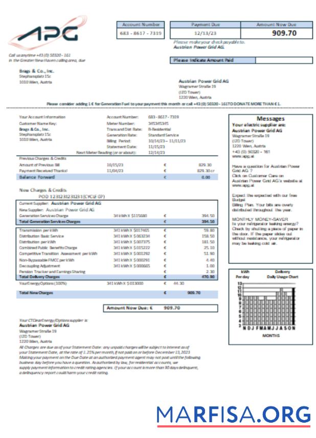 Blank Austrian Power Grid AG utility business bill, SCR sample